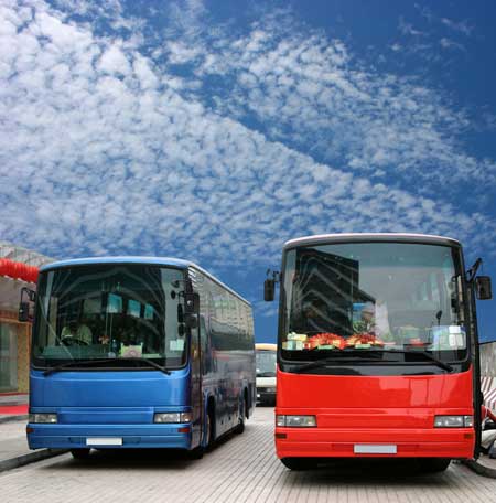 Images de la catégorie Bus