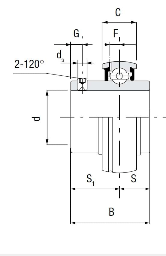 Picture of SPANNLAGER UC 309 FK 